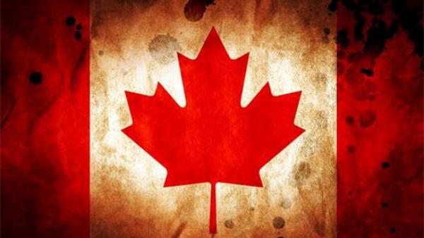 家庭主妇怎么办加拿大旅游签证？